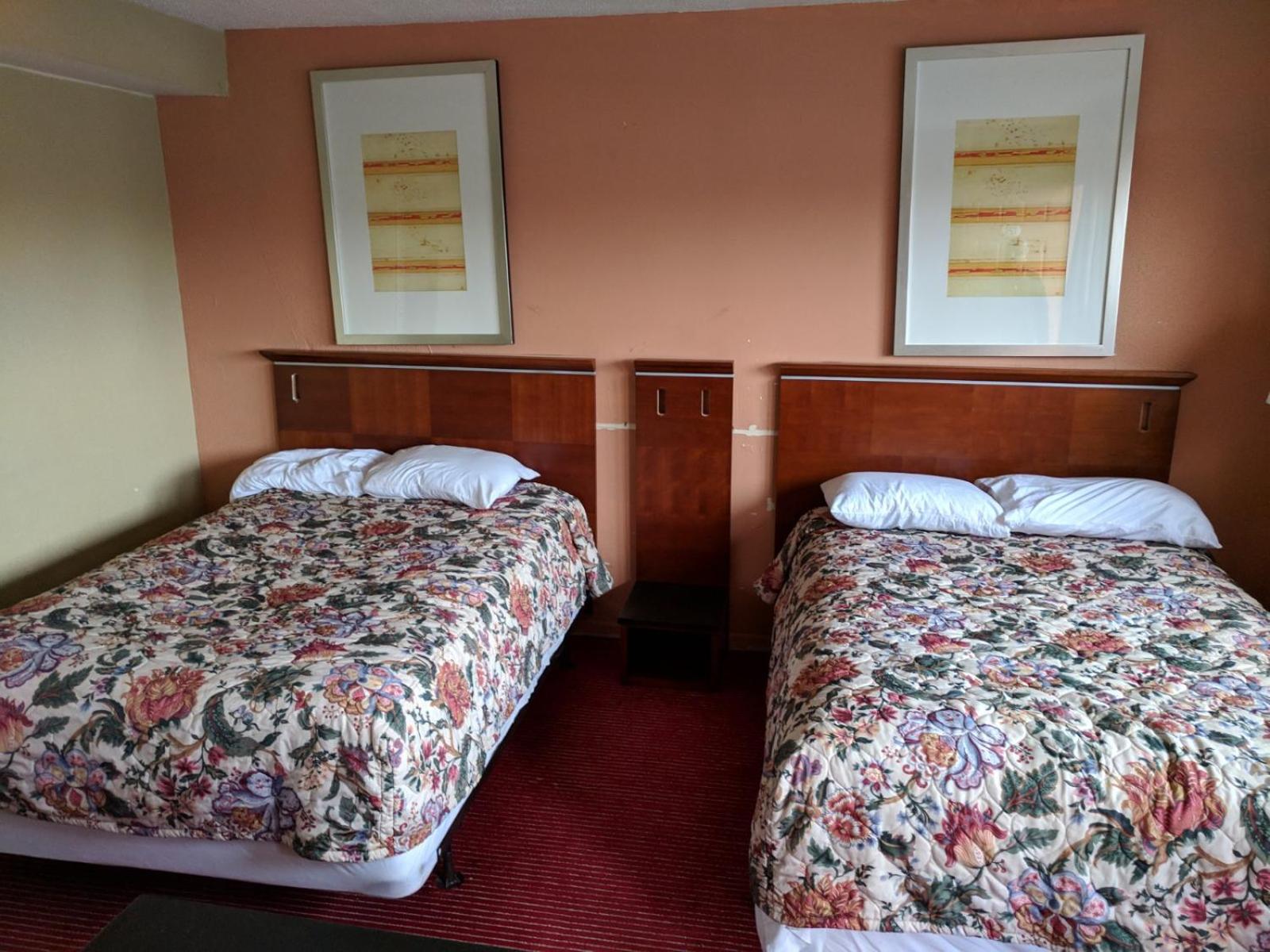 Skylark Motel Main image 2